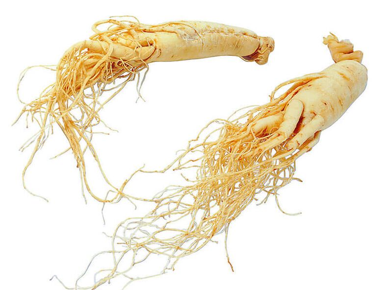 решачаҳои ginseng барои кӯза